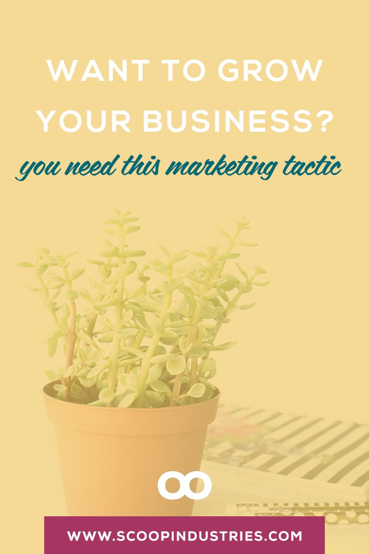 Pin this + learn the 6 reasons your email marketing isn’t delivering on its mythical promises. No matter what new marketing channel springs up, email marketing is STILL the most effective around. Learning how to harness its power is a lot more simple + steady than people realize.